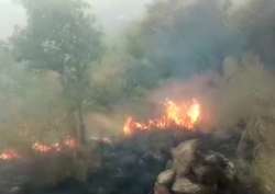 Forest fire in Theni