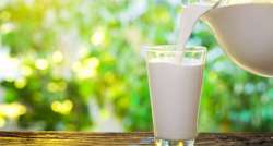 Drinking 'grassmilk' may improve heart health, says study