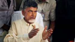 File picture of Chandrababu Naidu