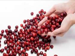 Pay attention! Cranberry decreases the risk of UTI recurrence in healthy women