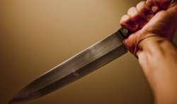 Delhi: Man kills 2 roommates after being pressurised to rent 