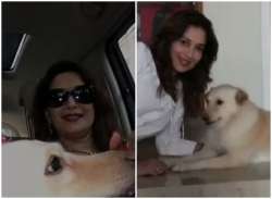 Madhuri Dixit mourns death of pet dog Riya in this heartfelt video