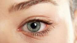 This eye-wrinkle feature are called the Duchenne marker