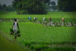 The study has also found that malaria has spread to new areas and its transmission may increase in duration, the Minister of Environment Forest and Climate Change Harsh Vardhan said during Question Hour.