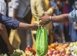 High Court directs Bihar to ban plastic bags(representational image)