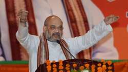 BJP chief Amit Shah - File Pic