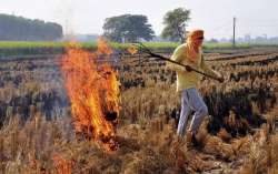 Stubble burning in neighbouring states