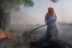 Stubble burning in Punjab