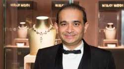 Nirav Modi