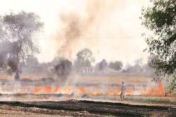 Stubble Burning