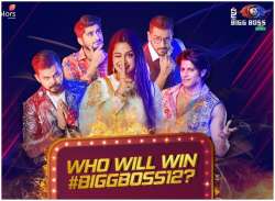 bigg boss 12 winner