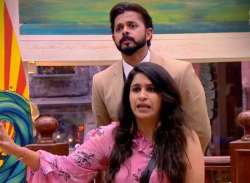 Romil, Dipika force Sreesanth to apologize to Surbhi