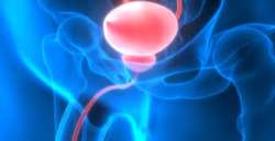 This implantable device uses light to treat bladder problems