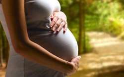 Pregnancy can raise risk of heart disease: Study