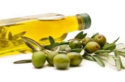 Here's how olive oil, sesame oil can help nourish skin