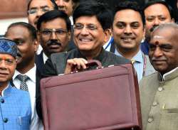 Finance Minister Piyush Goyal