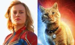 captain marvel memes