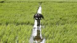 Raising farm output alone cannot ensure better prices to farmers: Experts