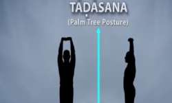 Build up to Yoga Day, Prime Minister Narendra Modi posts Tadasana video