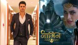 Vivek Dahiya might play the male lead role in Naagin 4