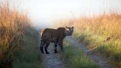 Corbett Tiger Reserve