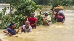 Floods wreak havoc in Bihar, death toll reaches 102