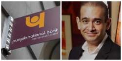 DRT directs Nirav Modi, partners to pay over Rs 7,200 cr plus interest