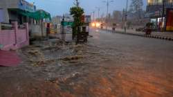 Rajasthan rains 