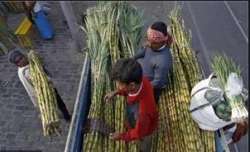 District authorities asked sugar mill owners to clear dues of cane growers in Muzaffarnagar (Represe