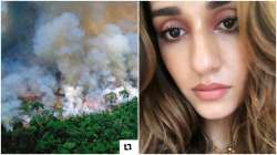 Amazon Rainforest Fire: Disha Patani, Anushka Sharma and other Bollywood celebs share concern on soc