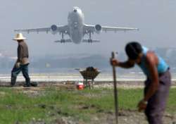 Stray dogs on Goa airport runway