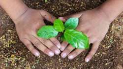 Up govt to plant 22 cr saplings on August Kranti Diwas