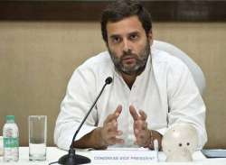 Early compensation and speedy rehabilitation needed: Rahul in Wayanad