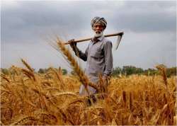 RBI panel pitches for federal body like GST Council in farm sector