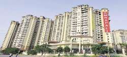 UP government should fund remaining Amrapali projects, not buyers: NGO 
 