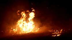 Fire breaks out at temple in Himachal's Kullu Manali 