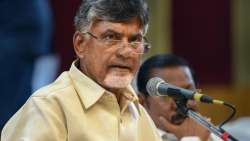 TDP president N Chandrababu Naidu