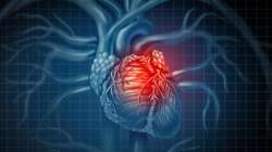 Decoded: Why women get heart attacks later than men