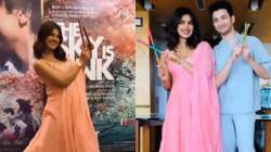 Priyanka Chopra plays dandiya, celebrates Navratri in Ahemdabad