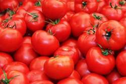 Now, tomato price soar to Rs 80 per kg in Delhi