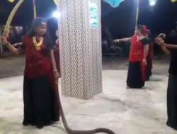 Young girls perform garba with cobras, case registered 