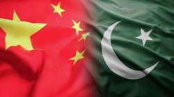 Chinese firm gets 23-year tax exemption in Pak