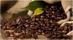 Coffee bean extracts can cut fat-induced inflammation, says study