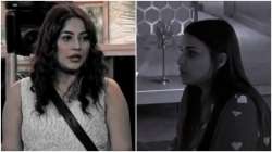 Bigg Boss 13 November 4 LIVE UPDATES: Himanshi Khurana reveals Shehnaaz Gill's reality, Bhau's fun b