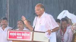 'Maharashtra cha ekch wagh, Sharad Pawar, Sharad Pawar'