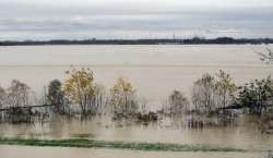 At least 41 die in heavy rains, landslides in Congo