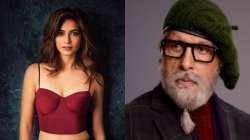 Kriti Kharbanda quits Amitabh Bachchan starrer Chehre