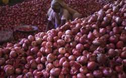 Govt to import 1 lakh tonnes onion to check price rise