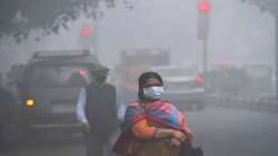 With AQI at 811, Varanasi finds it difficult to breathe