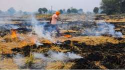 Comply with rules related to stubble burning: UP chief secy to officials